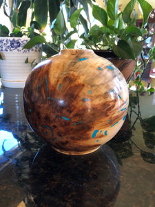 Finished WT #106, Hollow Form Vessel from Spalted and Riddled Aspen with Turquoise inlay.