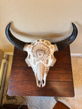 P #25, Pyrography on American Bison Skull, titled “The Medicine Bull”