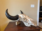 P #25, Pyrography on American Bison Skull, titled “The Medicine Bull”