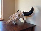 P #26, Pyrography on American Bison Skull, titled “Resilience”.