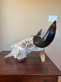 P #26, Pyrography on American Bison Skull, titled “Resilience”.