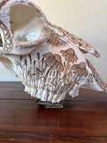 P #26, Pyrography on American Bison Skull, titled “Resilience”.