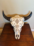 P #27, Pyrography on American Bison Skull, Titled “La Renaissance du Bison”.