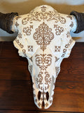 P #27, Pyrography on American Bison Skull, Titled “La Renaissance du Bison”.