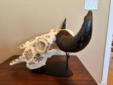 P #27, Pyrography on American Bison Skull, Titled “La Renaissance du Bison”.