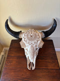 P #28, Pyrography on American Bison Skull, titled “Cheii”.
