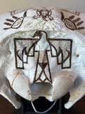 P #28, Pyrography on American Bison Skull, titled “Cheii”.