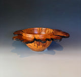 WT #309, Winged Bowl from Almond with Jet inlay.