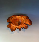 WT #309, Winged Bowl from Almond with Jet inlay.