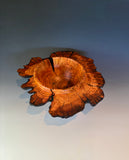 WT #309, Winged Bowl from Almond with Jet inlay.