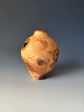 WT #312, Hollow Form Vessel from Green Ash with Jet inlay.