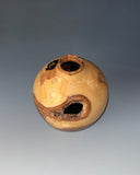 WT #312, Hollow Form Vessel from Green Ash with Jet inlay.