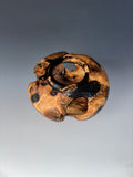 WT #313, Hollow Form Vessel from Green Ash with Jet inlay.
