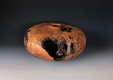 WT #165, Hollow Form Vessel from Silver Leaf Maple Burl