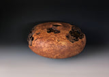 WT #165, Hollow Form Vessel from Silver Leaf Maple Burl