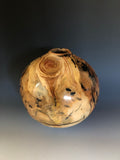 WT #171, Hollow Form Vessel from Aspen with Jet inlay.