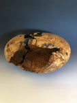 WT #176, Hollow Form from Boxelder Burl with Jet imlay