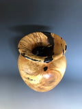 WT #184, Grecian Vase Form from Boxelder Burl with Jet inlay.