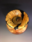 WT #184, Grecian Vase Form from Boxelder Burl with Jet inlay.