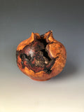 WT #187, Hollow Form Vessel from Plum Burl