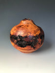 WT #187, Hollow Form Vessel from Plum Burl