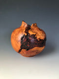 WT #187, Hollow Form Vessel from Plum Burl