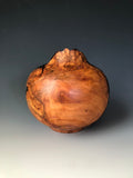 WT #187, Hollow Form Vessel from Plum Burl