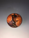 WT #187, Hollow Form Vessel from Plum Burl