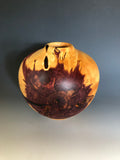 WT #191, Hollow Form Vessel from Eastern Red Cedar with Jet inlay.