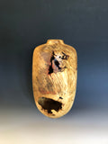 WT #195, Hollow Form Bottle from Spalted Boxelder Burl with Jet inlay