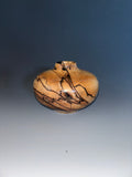 WT #233, Hollow Form Vessel from Spalted Maple with Jet inlay.