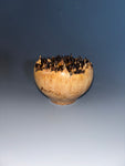 WT #236, Live Edge Hollow Form Vessel from Big Leaf Maple Burl.