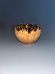 WT #236, Live Edge Hollow Form Vessel from Big Leaf Maple Burl.