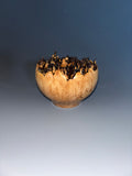 WT #236, Live Edge Hollow Form Vessel from Big Leaf Maple Burl.