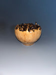 WT #236, Live Edge Hollow Form Vessel from Big Leaf Maple Burl.