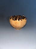 WT #236, Live Edge Hollow Form Vessel from Big Leaf Maple Burl.