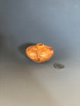 WT # 240, Miniature Hollow Form Vessel from Plum Burl with Lapis inlay.