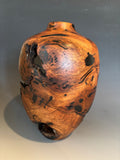 WT #254, Live Edge Hollow Form Vessel from Mesquite with Jet inlay