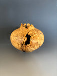 WT #282, Live Edge Hollow Form Vessel from Boxelder Burl with Jet inlay.