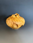 WT #282, Live Edge Hollow Form Vessel from Boxelder Burl with Jet inlay.