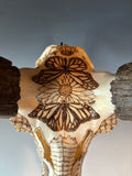 P #23, Pyrography on Pronghorn Skull, Titled “Prairie Monarchs”