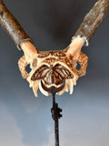 P #23, Pyrography on Pronghorn Skull, Titled “Prairie Monarchs”
