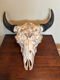 P #24, Pyrography on Buffalo Skull titled “Ferdinand”