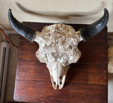 P #24, Pyrography on Buffalo Skull titled “Ferdinand”