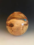 WT #73, Hollow Form Vessel from Spalted Aspen with Turquoise & Coal inlay