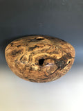 WT #131, Hollow Form Vessel from Spalted White Oak Root Burl