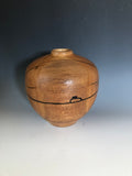 WT #124, Hollow Form Vessel from Gambel Oak with Jet inlay.