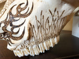P #20, Pyrography on Bison Skull
