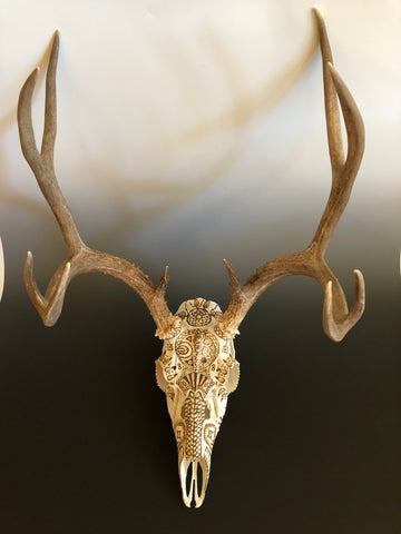 P #17, Pyrography on Mule Deer Skull.  NFS