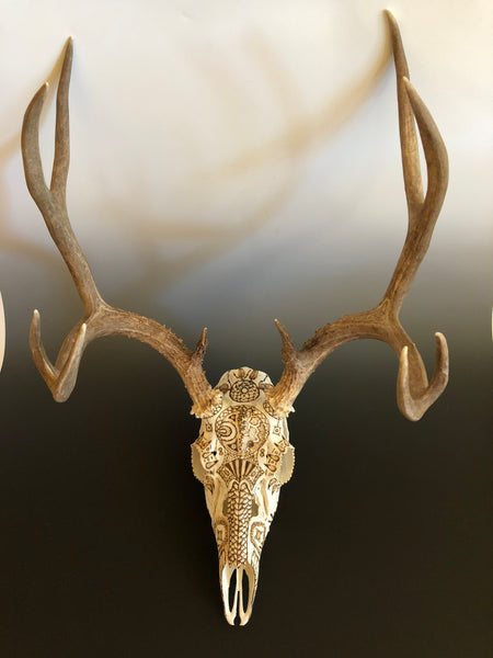 P*u様 蝦夷鹿hunting trophy （deer skull） 蝦夷鹿hunting trophy（deer skull） P*u様 蝦夷鹿hunting